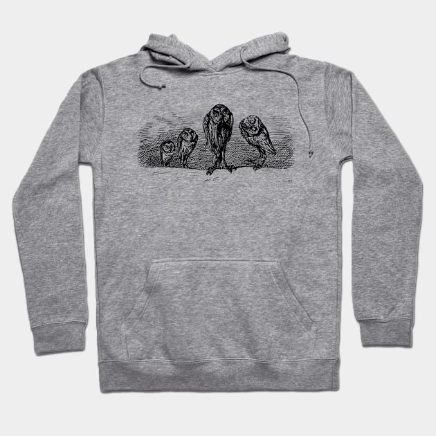 Owl - Crazy Owls Hoodie by KC Happy Shop